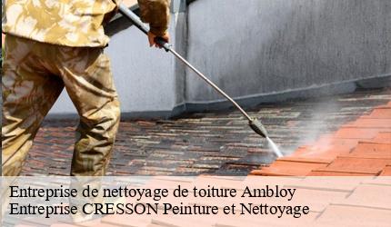 Entreprise de nettoyage de toiture  ambloy-41310 Entreprise CRESSON Peinture et Nettoyage