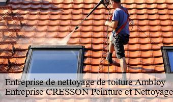 Entreprise de nettoyage de toiture  ambloy-41310 Entreprise CRESSON Peinture et Nettoyage