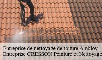 Entreprise de nettoyage de toiture  ambloy-41310 Entreprise CRESSON Peinture et Nettoyage