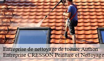 Entreprise de nettoyage de toiture  authon-41310 Entreprise CRESSON Peinture et Nettoyage