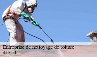 Entreprise de nettoyage de toiture  authon-41310 Entreprise CRESSON Peinture et Nettoyage