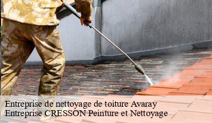 Entreprise de nettoyage de toiture  avaray-41500 Entreprise CRESSON Peinture et Nettoyage