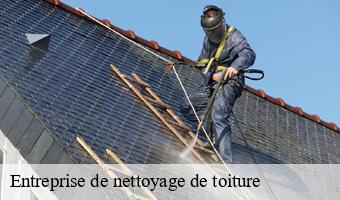 Entreprise de nettoyage de toiture  averdon-41330 Entreprise CRESSON Peinture et Nettoyage