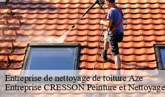 Entreprise de nettoyage de toiture  aze-41100 Entreprise CRESSON Peinture et Nettoyage