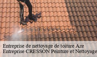 Entreprise de nettoyage de toiture  aze-41100 Entreprise CRESSON Peinture et Nettoyage