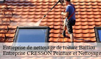 Entreprise de nettoyage de toiture  baillou-41170 Entreprise CRESSON Peinture et Nettoyage