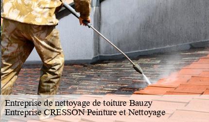 Entreprise de nettoyage de toiture  bauzy-41250 Entreprise CRESSON Peinture et Nettoyage