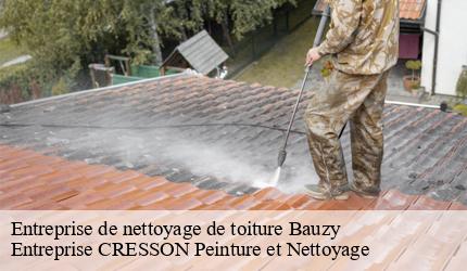 Entreprise de nettoyage de toiture  bauzy-41250 Entreprise CRESSON Peinture et Nettoyage