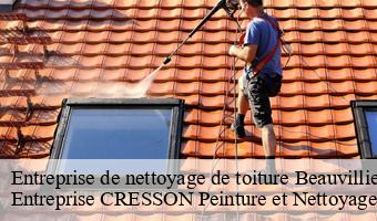 Entreprise de nettoyage de toiture  beauvilliers-41290 Entreprise CRESSON Peinture et Nettoyage