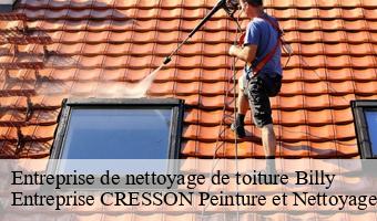 Entreprise de nettoyage de toiture  billy-41130 Entreprise CRESSON Peinture et Nettoyage