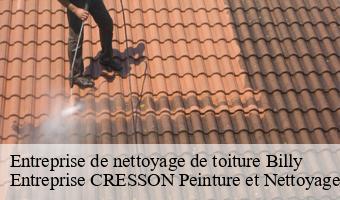 Entreprise de nettoyage de toiture  billy-41130 Entreprise CRESSON Peinture et Nettoyage