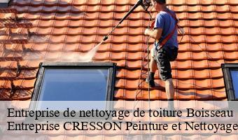 Entreprise de nettoyage de toiture  boisseau-41290 Entreprise CRESSON Peinture et Nettoyage