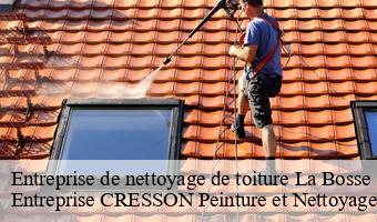 Entreprise de nettoyage de toiture  la-bosse-41290 Entreprise CRESSON Peinture et Nettoyage