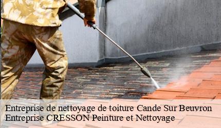 Entreprise de nettoyage de toiture  cande-sur-beuvron-41120 Entreprise CRESSON Peinture et Nettoyage