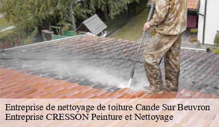 Entreprise de nettoyage de toiture  cande-sur-beuvron-41120 Entreprise CRESSON Peinture et Nettoyage