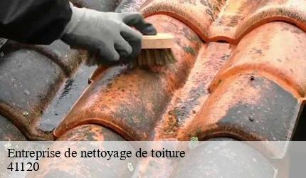 Entreprise de nettoyage de toiture  cande-sur-beuvron-41120 Entreprise CRESSON Peinture et Nettoyage