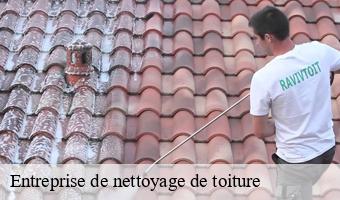 Entreprise de nettoyage de toiture  cande-sur-beuvron-41120 Entreprise CRESSON Peinture et Nettoyage