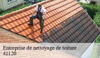 Entreprise de nettoyage de toiture  cande-sur-beuvron-41120 Entreprise CRESSON Peinture et Nettoyage