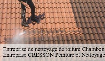 Entreprise de nettoyage de toiture  chambon-sur-cisse-41190 Entreprise CRESSON Peinture et Nettoyage