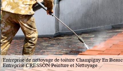 Entreprise de nettoyage de toiture  champigny-en-beauce-41330 Entreprise CRESSON Peinture et Nettoyage