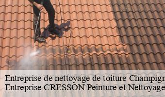 Entreprise de nettoyage de toiture  champigny-en-beauce-41330 Entreprise CRESSON Peinture et Nettoyage