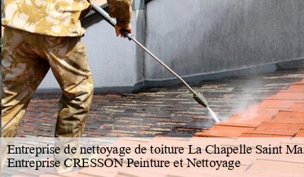 Entreprise de nettoyage de toiture  la-chapelle-saint-martin-en-41500 Entreprise CRESSON Peinture et Nettoyage