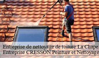 Entreprise de nettoyage de toiture  la-chapelle-saint-martin-en-41500 Entreprise CRESSON Peinture et Nettoyage