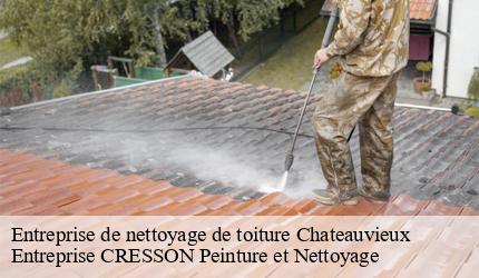 Entreprise de nettoyage de toiture  chateauvieux-41110 Entreprise CRESSON Peinture et Nettoyage