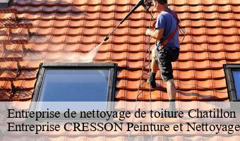 Entreprise de nettoyage de toiture  chatillon-sur-cher-41130 Entreprise CRESSON Peinture et Nettoyage