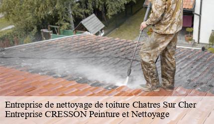 Entreprise de nettoyage de toiture  chatres-sur-cher-41320 Entreprise CRESSON Peinture et Nettoyage