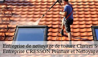 Entreprise de nettoyage de toiture  chatres-sur-cher-41320 Entreprise CRESSON Peinture et Nettoyage