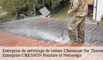 Entreprise de nettoyage de toiture  chaumont-sur-tharonne-41600 Entreprise CRESSON Peinture et Nettoyage