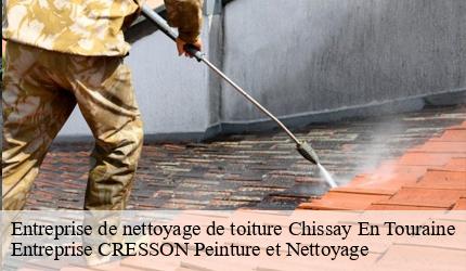 Entreprise de nettoyage de toiture  chissay-en-touraine-41400 Entreprise CRESSON Peinture et Nettoyage