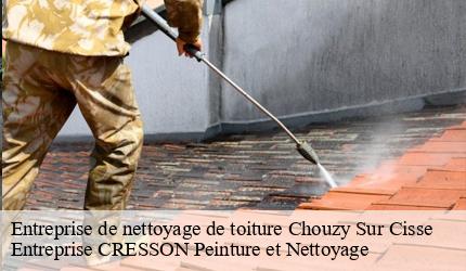 Entreprise de nettoyage de toiture  chouzy-sur-cisse-41150 Entreprise CRESSON Peinture et Nettoyage