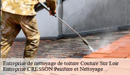 Entreprise de nettoyage de toiture  couture-sur-loir-41800 Entreprise CRESSON Peinture et Nettoyage