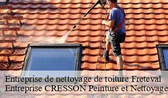 Entreprise de nettoyage de toiture  freteval-41160 Entreprise CRESSON Peinture et Nettoyage