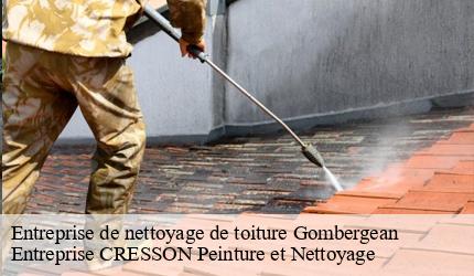 Entreprise de nettoyage de toiture  gombergean-41310 Entreprise CRESSON Peinture et Nettoyage