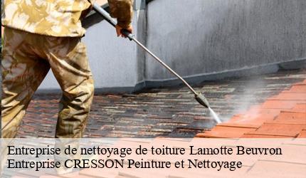 Entreprise de nettoyage de toiture  lamotte-beuvron-41600 Entreprise CRESSON Peinture et Nettoyage