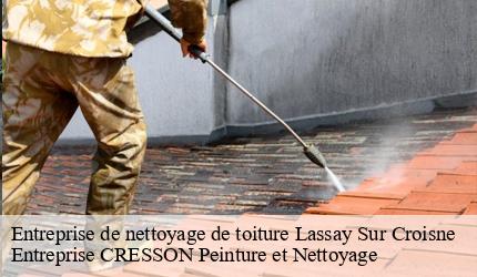 Entreprise de nettoyage de toiture  lassay-sur-croisne-41230 Entreprise CRESSON Peinture et Nettoyage