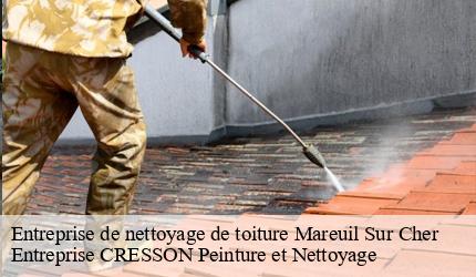 Entreprise de nettoyage de toiture  mareuil-sur-cher-41110 Entreprise CRESSON Peinture et Nettoyage