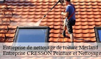 Entreprise de nettoyage de toiture  mesland-41150 Entreprise CRESSON Peinture et Nettoyage