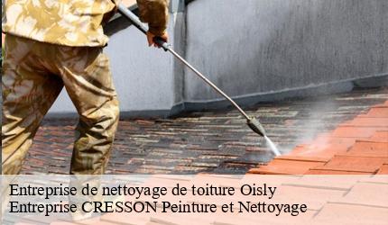 Entreprise de nettoyage de toiture  oisly-41700 Entreprise CRESSON Peinture et Nettoyage