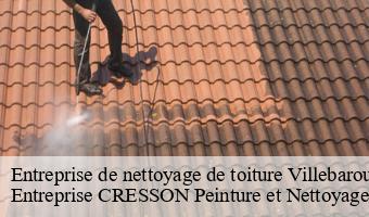 Entreprise de nettoyage de toiture  villebarou-41000 Entreprise CRESSON Peinture et Nettoyage