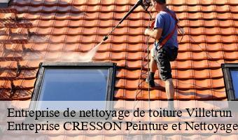 Entreprise de nettoyage de toiture  villetrun-41100 Entreprise CRESSON Peinture et Nettoyage