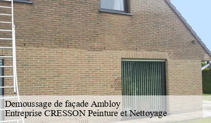 Demoussage de façade  ambloy-41310 Entreprise CRESSON Peinture et Nettoyage