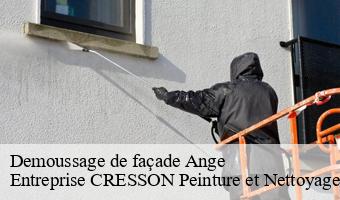 Demoussage de façade  ange-41400 Entreprise CRESSON Peinture et Nettoyage