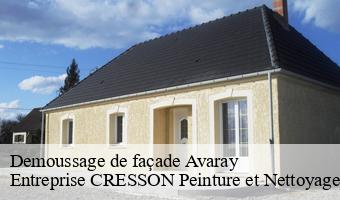 Demoussage de façade  avaray-41500 Entreprise CRESSON Peinture et Nettoyage