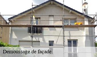 Demoussage de façade  binas-41240 Entreprise CRESSON Peinture et Nettoyage