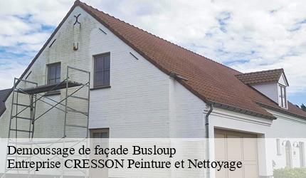 Demoussage de façade  busloup-41160 Entreprise CRESSON Peinture et Nettoyage