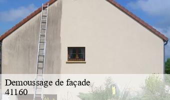 Demoussage de façade  busloup-41160 Entreprise CRESSON Peinture et Nettoyage